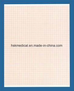 12 Channel ECG Recording Paper -215mmx30m