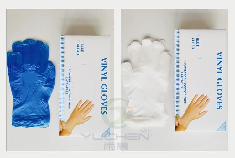 Disposable Clear/Blue Vinyl Gloves