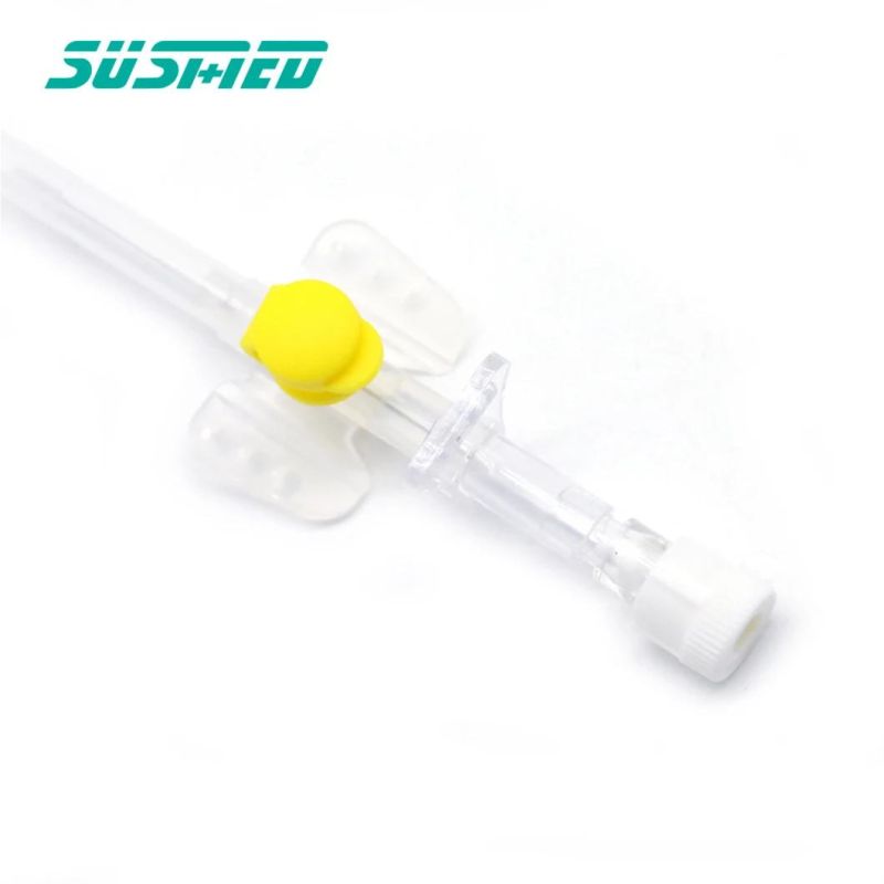 Medical Different Sizes and Color IV Cannula with Injection Port