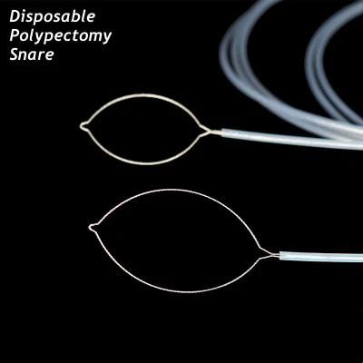 Disposable Polypectomy Snares Widely Used in Electro-Surgery