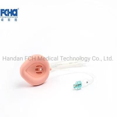Hot Sell Medical-Grade PVC Laryngeal Mask Tube Airway