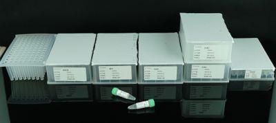 Techstar Magnetic Bead Nucleic Acid Extraction Kits Rna Isolation DNA Purification Lab Reagent