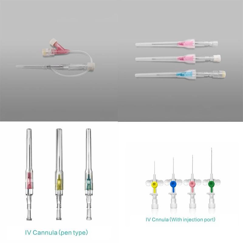 Different Colors of Disposable Medical IV Cannula