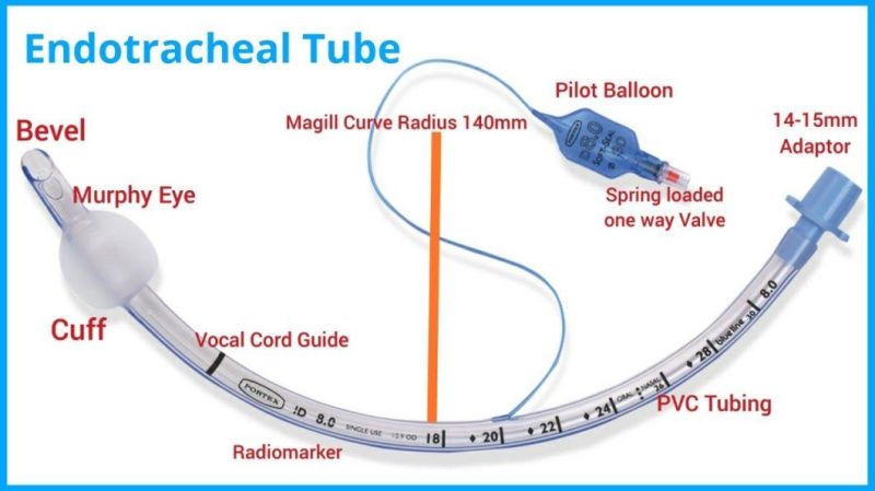 Endotracheal Tube Oral and Nasal Disposable Standard Endotracheal Tube with Cuff / Et Tube