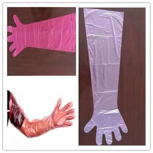 Veterinarian Examination Long Arm Veterinary Disposable Gloves