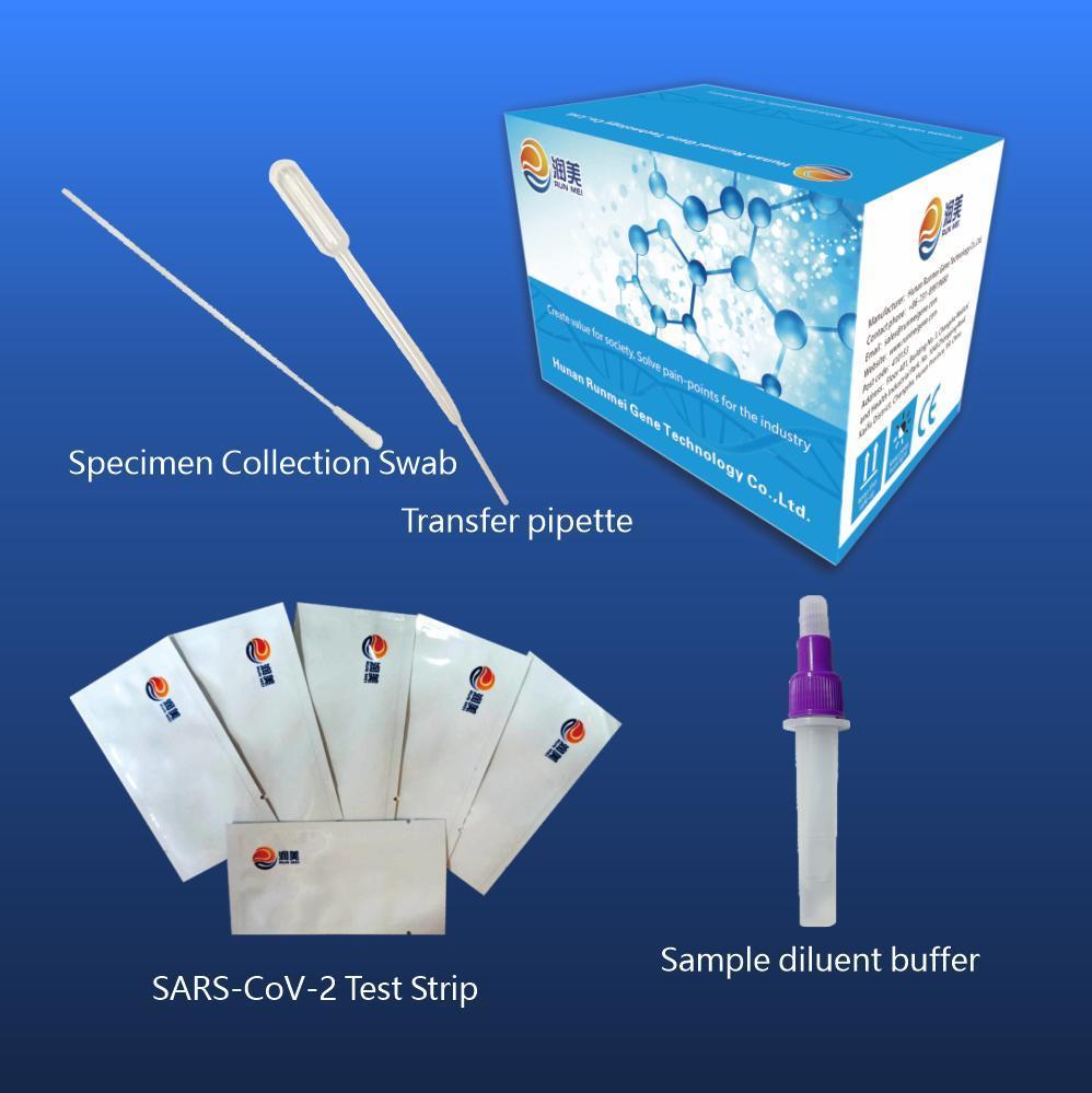Virus Antigen Detection Medical CE Ivd Saliva/Swab Antigen Test Kit