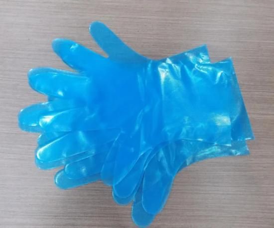 China Hot Sale Waterproof Disposable PE/HDPE Polyethylene Glove
