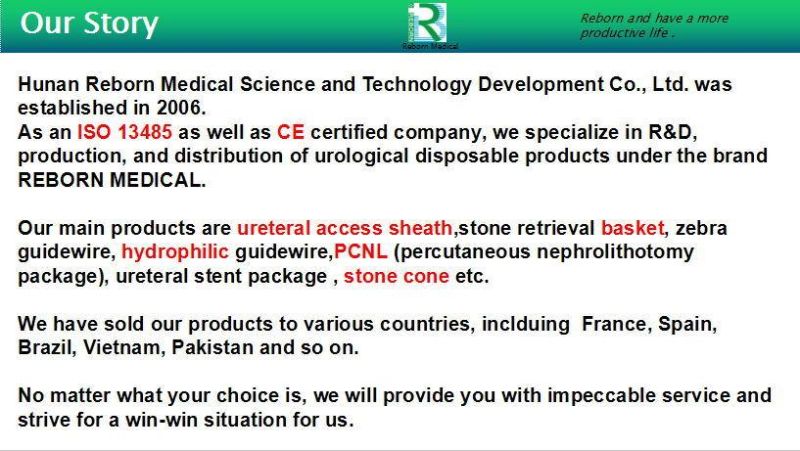 Percutaneous Nephrostomy Package Pcnl Nephrolithotomy Kit with Ce