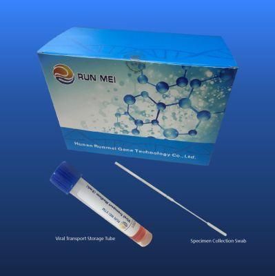 Viral Transport Tube Disposable Sampling Nasal Swab Sterile Medical Sample Collection Swab/Test Sampling Tube Swab