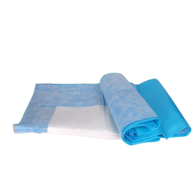 100*230mm OEM ODM Manufacturer Adult Disposable Underpad Incontinence Products Under Pad for Seniors Disposable Bed Pads Hospital Bed Pads Adult Bed Pads