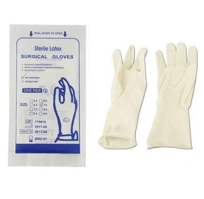 Sterilized Medical Surgical Latex Gloves Powder or Powder Free