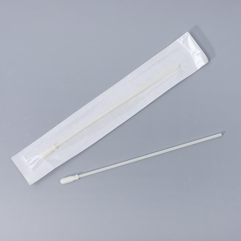 Wholesale Sterile Medical Sampling Collection Foam Transport Swabs