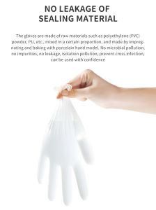 Wholesale Household Powder Disposable PVC Vinyl Gloves for Examination Disposable Multi-Function Gloves
