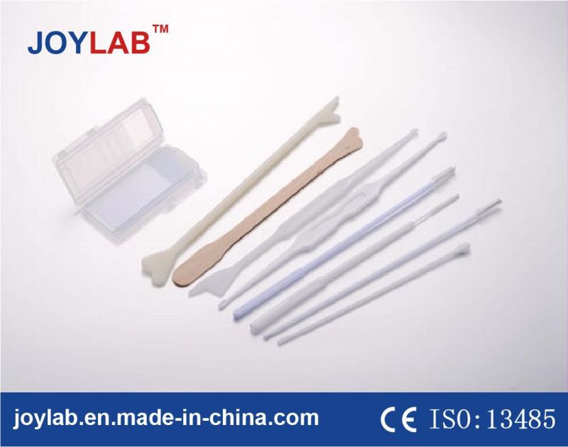 Top Quality Cervical Brush Approval Ce ISO