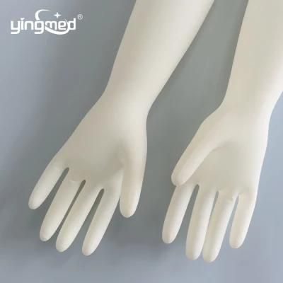 Hot Sale &amp; High Quality Disposable Medical Gynecology Examination Gloves