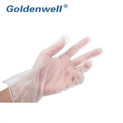 Disposable Clear Elastic Baking Daily Cleaning Vinyl Glove