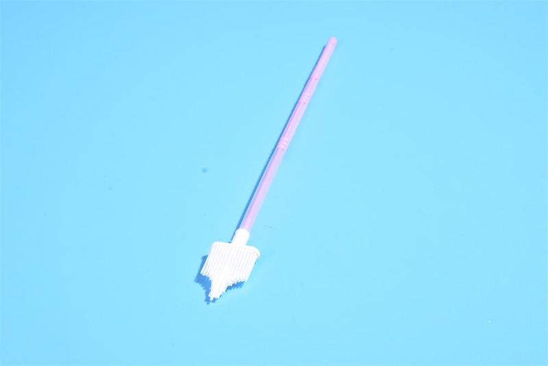 Sterile Cervical Sampler Individually Packaged Medical Disposable Cervical Brush Sampling Swab