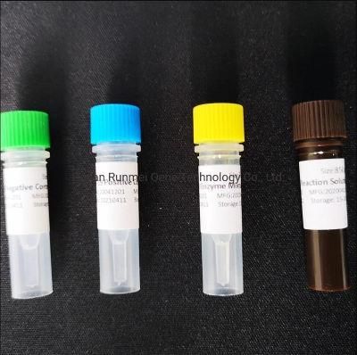 Group a Streptococcus and Staphylococcus Aureus Dual Nucleic Acid Detection Kit (FLUORESCENCE PCR method)