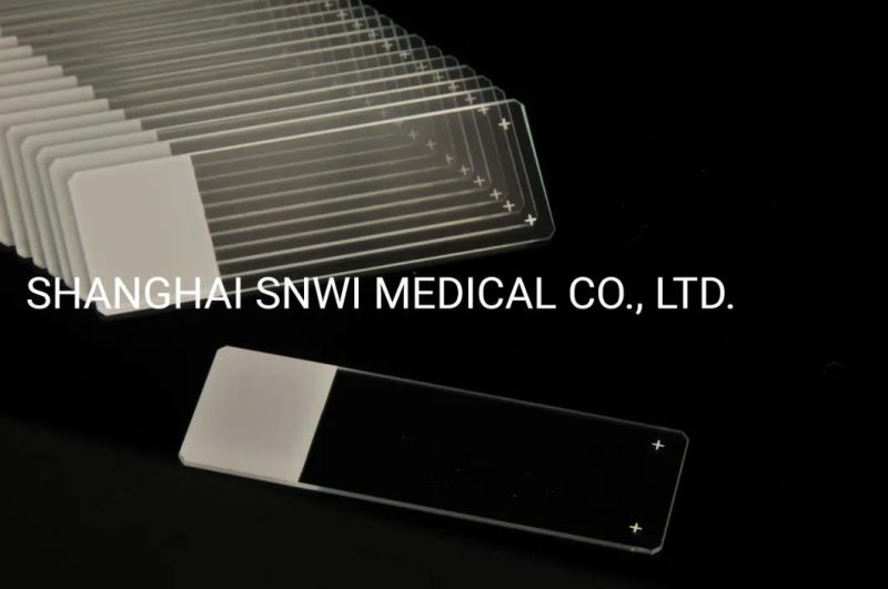 CE/ISO Approved Laboratory Disposable Microscope Cover Slide Glass