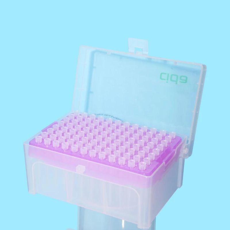 Medical Laboratory Disposables Sterile 10UL 100UL 200UL 1000UL Universal Micro Pipette Filter Tips Manufacturers