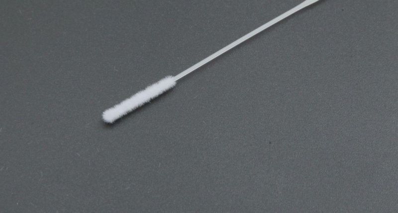 Disposable Sampling Swab Oral Swab Nylon Flocked Swab Sterile Specimen Collection Swab Nasal