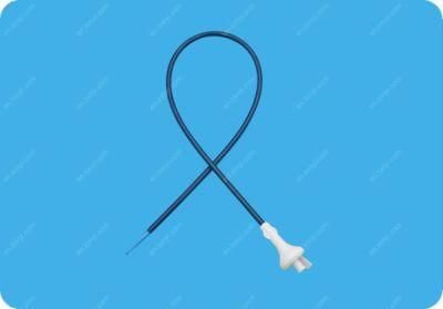 12fr High Quality Ureteral Access Sheath with Hydrophilic Coating