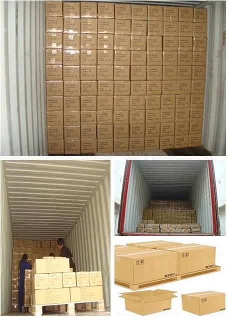 TPE Tourniquet/ Fishbone Tourniquet/Medical Tourniquet Factory Hot Sale