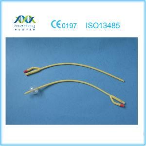 Disposable Medical 2-Way Latex Foley Balloon Catheter (MN-FC0001)