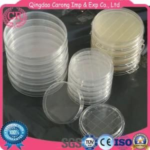 65mm Petri Dish (for bacterial culture)