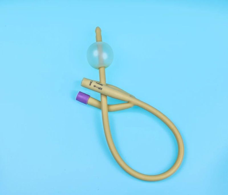 CE Approved Medical Disposable 2 Way Urethral Catheter Silicone Latex Foley Catheter Urethral Probe Source Supply