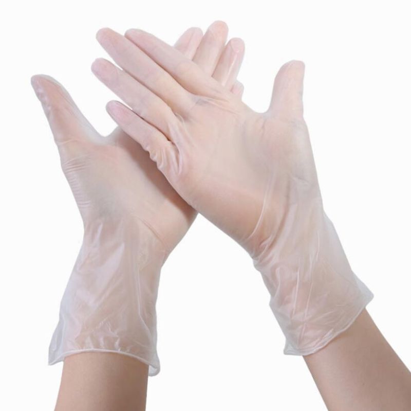 PVC Gloves Plastic Disposable Gloves