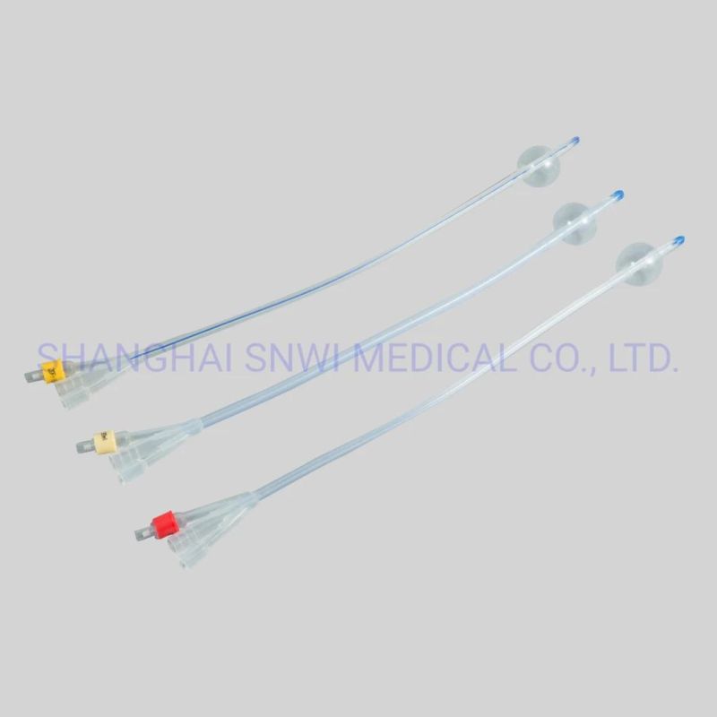 CE/ISO Approved 2-Way Latex Foley Catheter