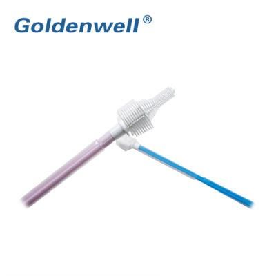 Disposable Medical Gynecological Female Use Cervical Brush with Eo Sterilization