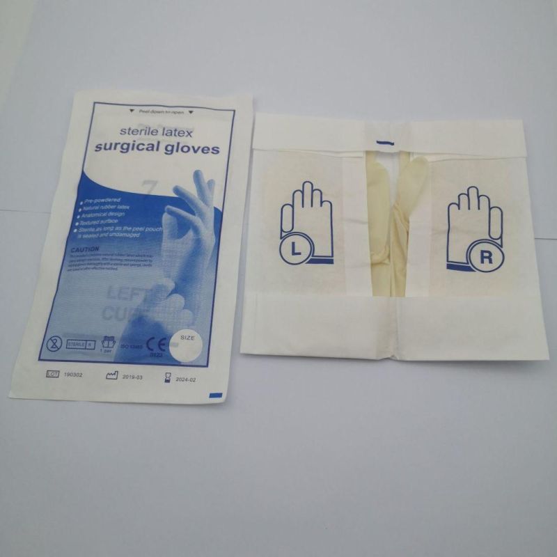 Disposable Medical Sterile Latex Surgical Gloves (Powdered or Powder Free) Used in Hospital