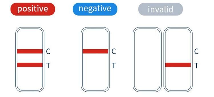 Test Kit CE Fast Delivery Antibody Signo Antigen Rapid Diagnostic Test Kit