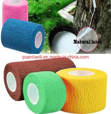 Bulk Wholesale Medical Supply Non Woven Cotton Easy Tear Self Adhesive Vet Wrap Adhesive Elastic Cohesive Bandage