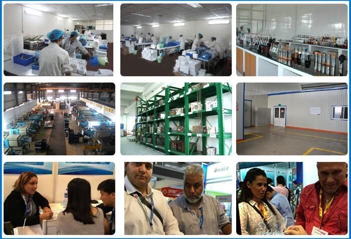 Disposable Non Woven Balaclava Hood