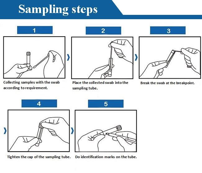 Sterile Rapid Test Medical Nylon Flocked Mouth Nasal Nasopharyngeal Throat Oral Swab