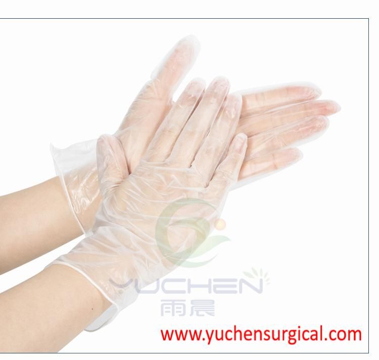 Disposable Clear/Blue Vinyl Gloves