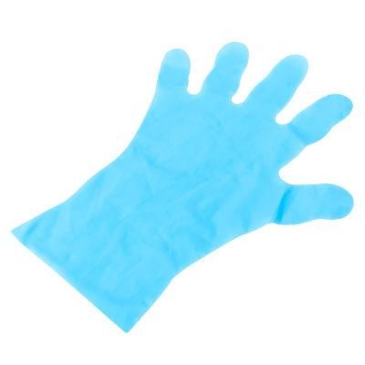 Disposable PE Plastic Gloves Civil Use Gloves Transparent PE TPE CPE Disposable Gloves