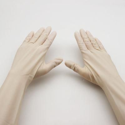Medical Surgical Gynaecological Rubber Latex Pre-Powder Nonpowder Gloves Glove