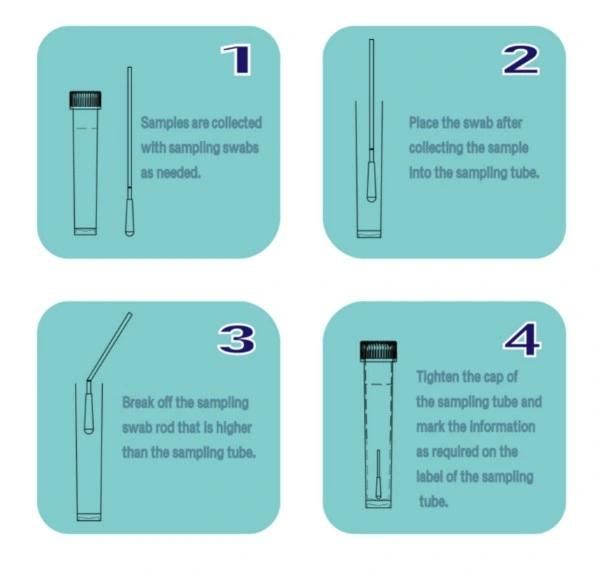 Viral Transport Medium (VTM) Tube