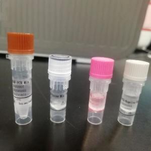 Test Kit Blood Test Kits Rapid Test