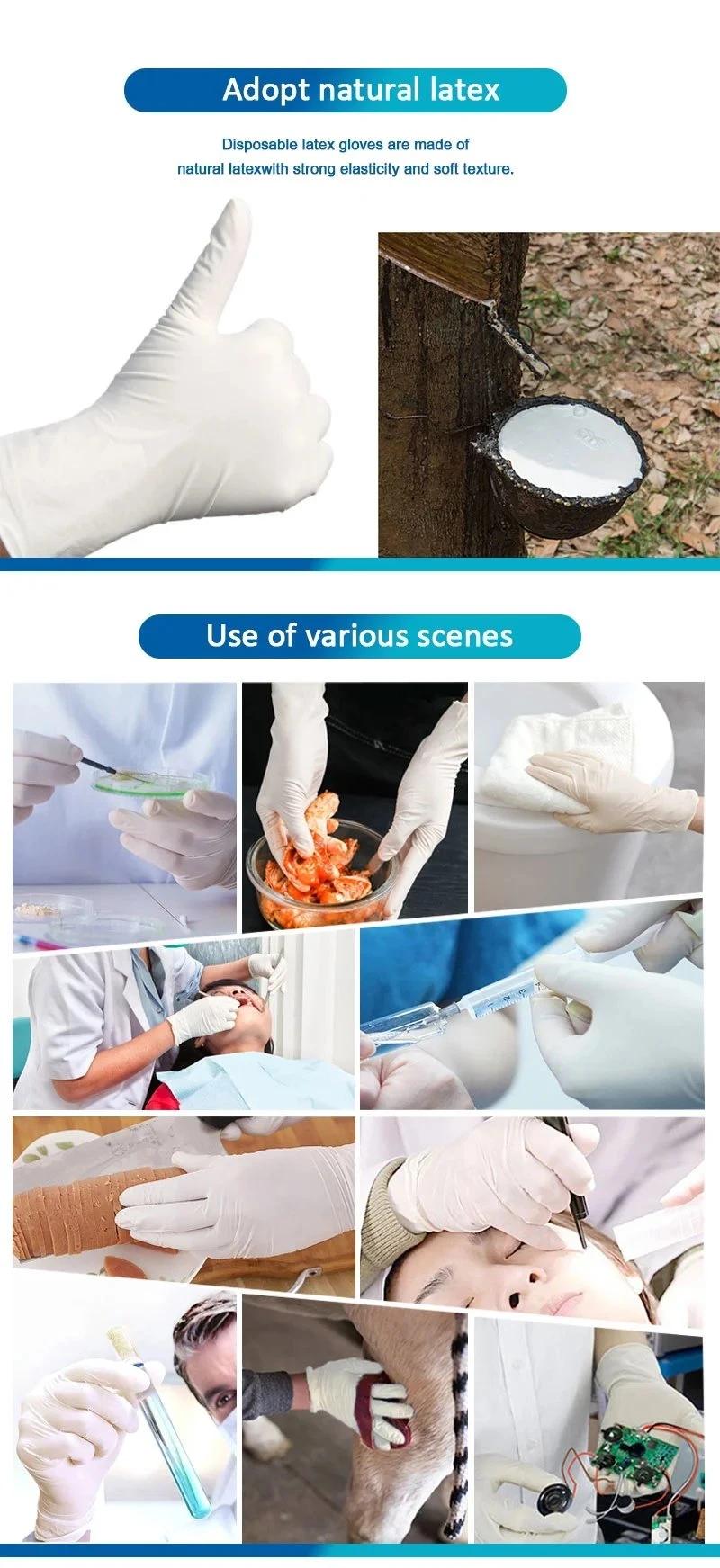 Latex Gloves Disposable Latex Gloves Powder Free Box Surgical Medical Examination Latex Hand Gloves Manufacturers