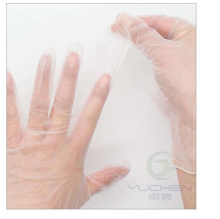 Disposable Clear/Blue Vinyl Gloves