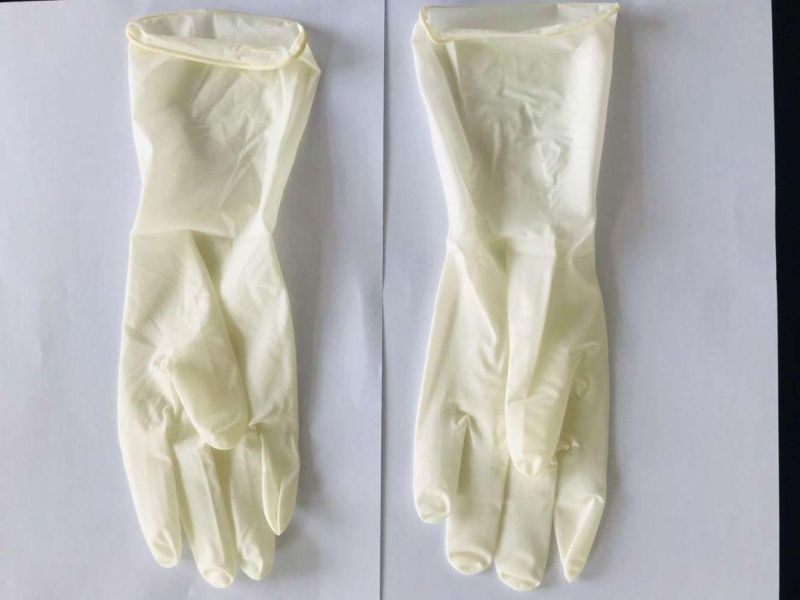 Disposable Powder Free Latex Gloves for Medical Use