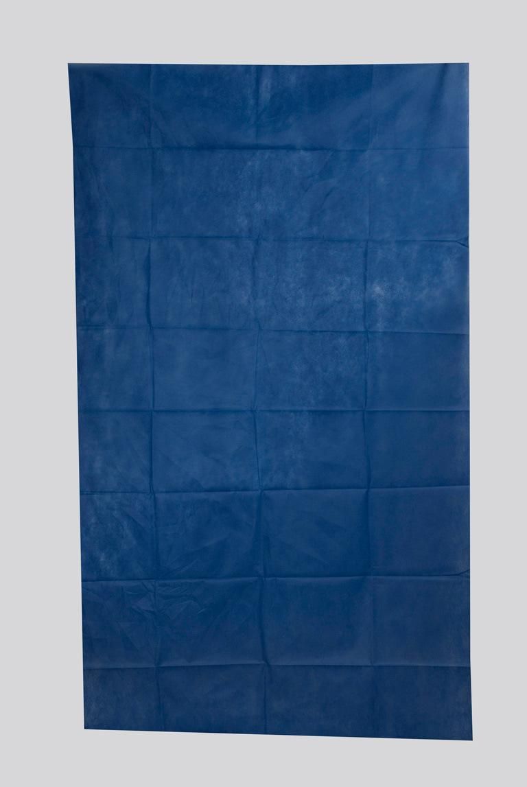 Light Blue Single Medical Use Non-Woven Bedsheet for Prevent Cross Infection in Clean Environment