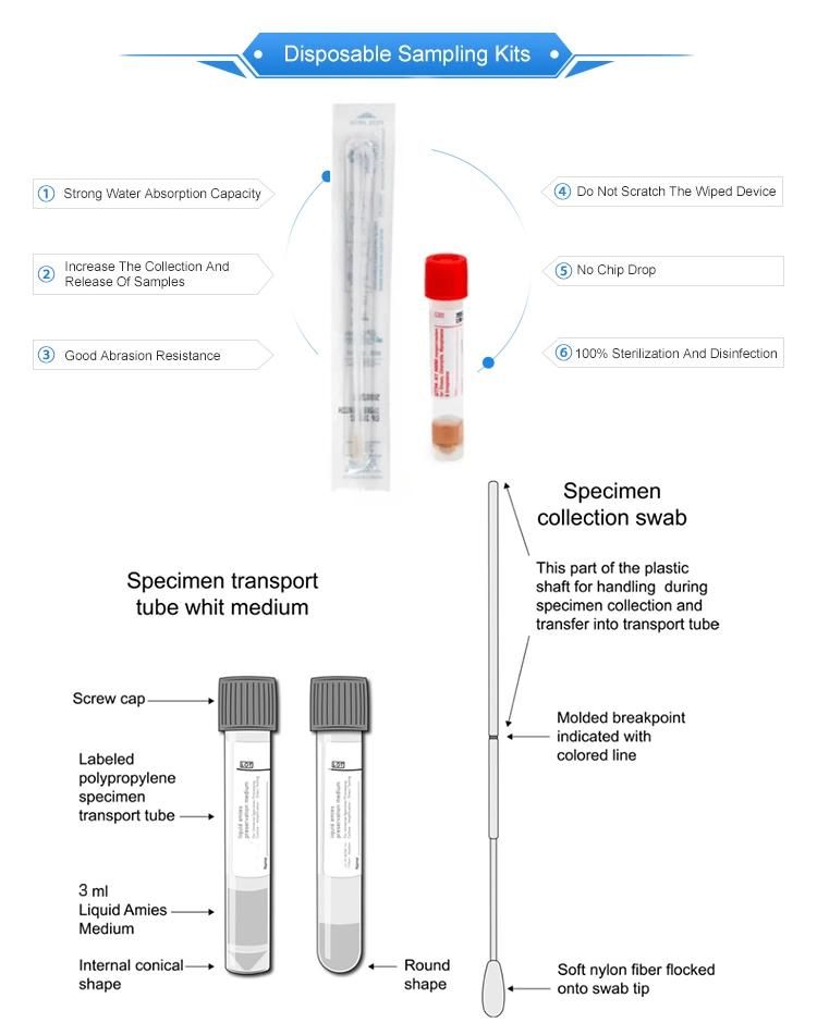 Medical Disposable Vtm Test Kit with Sterile Nylon Flocked Nasopharyngeal Swab