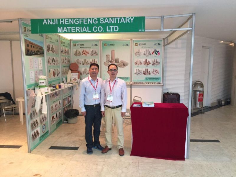 Mdr CE Approved Professional Chinese Manufacturerhot-Melt or Acrylic Tape with Slik Cloth and Glue
