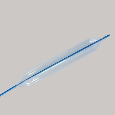 Catheter for Making Medical Hydrophilic Coating Ptca Balloon for Vasodilatation